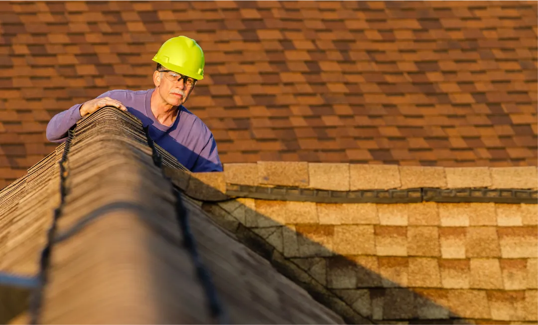  | Professional Roof Inspector